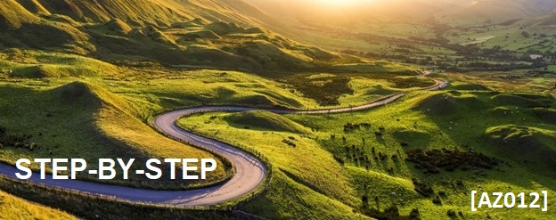 Arizona Step-By-Step Meeting